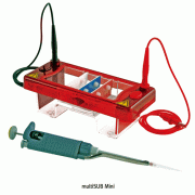 “Biocomdirect”Horizontal Electrophoresis System, multiSUB Mini <br> 수평식 전기영동장치, DNA & RNA 분석용, 소형